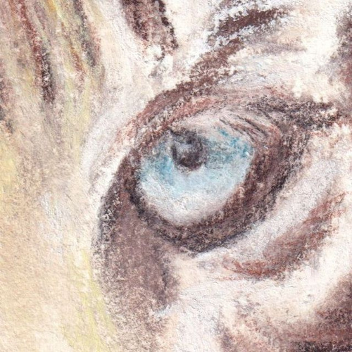 ホワイトタイガー（パステル画 原画） 絵画 にゃんずら 通販