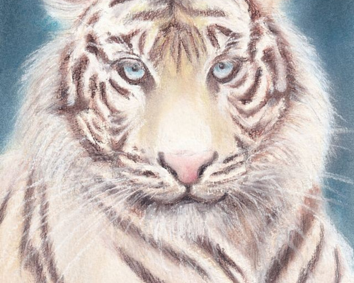 ふわふわホワイトポメラニアン（パステル画 原画） 絵画 にゃん