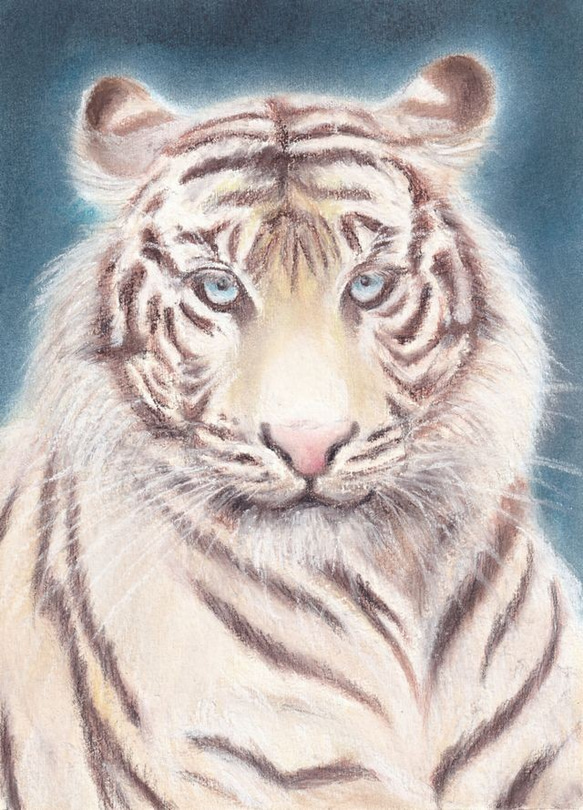 ホワイトタイガー（パステル画 原画） 絵画 にゃんずら 通販