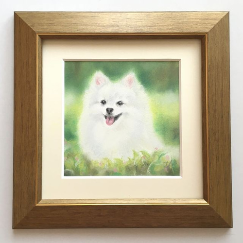 ふわふわホワイトポメラニアン（パステル画 原画） 絵画 にゃん