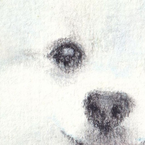 全国どこでも送料無料！ ふわふわホワイトポメラニアン（パステル画 原画） にゃん 絵画 絵画