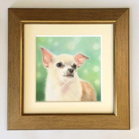 みのっち出品【原画】『ガラクタの森』（チワワ　鳥　猫　絵画　パステル画） みのっち様専用出品【原画】『ガラクタの森』（チワワ 鳥 猫