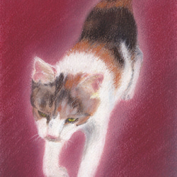 神社の子猫（パステル画・原画） 2枚目の画像