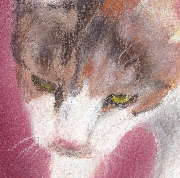 神社の子猫（パステル画・原画） 3枚目の画像
