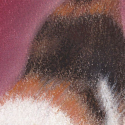神社の子猫（パステル画・原画） 4枚目の画像