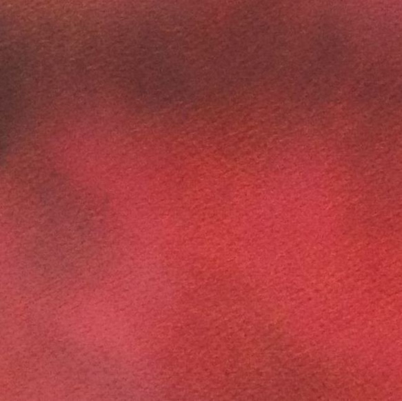 赤い月（パステル画・原画）６号 5枚目の画像
