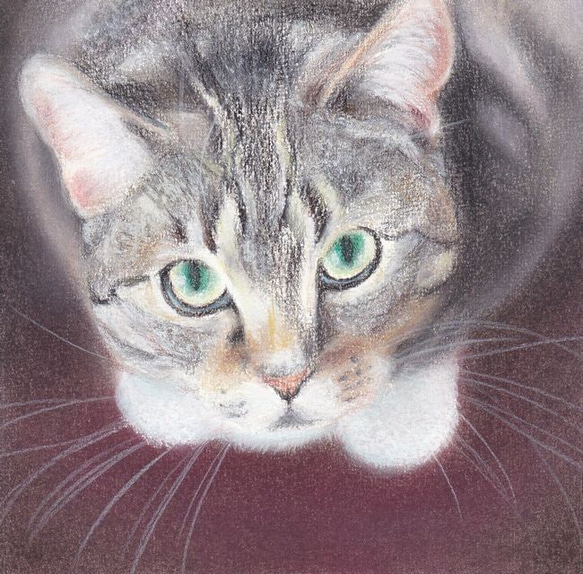 見上げる猫（パステル画　原画）　額装込み 1枚目の画像