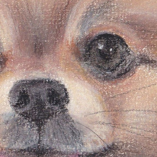 smile puppy ハンドメイドパステル画絵画アート原画