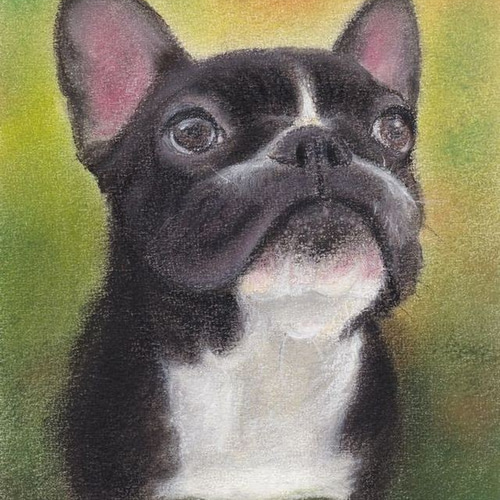 フレンチブルドッグ（パステル画 原画） 絵画 にゃんずら 通販 7918166