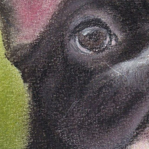 フレンチブルドッグ（パステル画 原画） 絵画 にゃんずら 通販 7918166