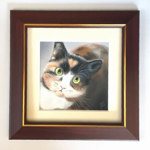 お気に入り 原画） 見上げる猫6（パステル画 絵画 9224044 通販 にゃんずら 絵画