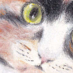 見上げる猫６（パステル画　原画） 3枚目の画像