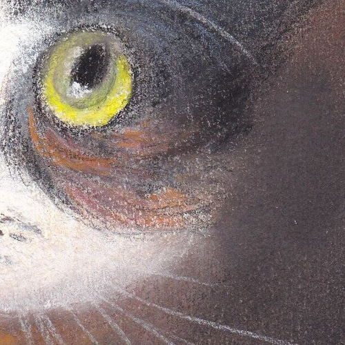 見上げる猫6（パステル画 原画） 絵画 にゃんずら 通販 9224044