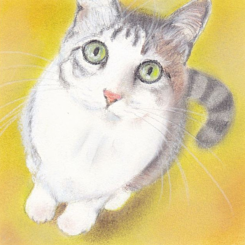 イラスト原画 「見上げる猫」