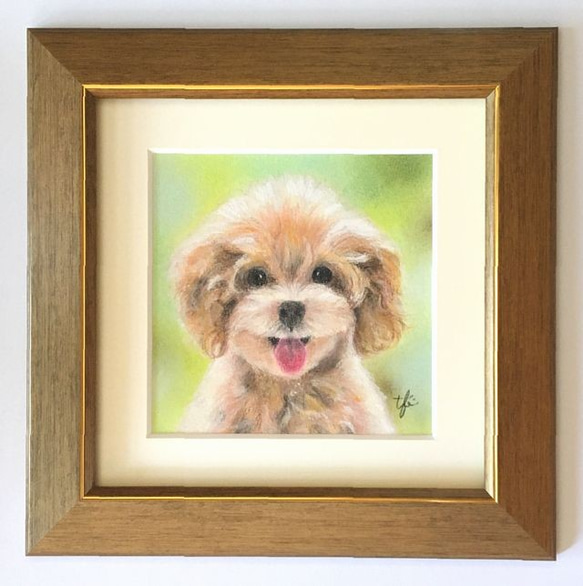 癒しのトイプー（パステル画 原画） 絵画 にゃんずら 通販