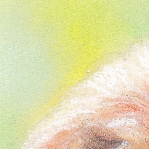 癒しのトイプー（パステル画 原画） 絵画 にゃんずら 通販