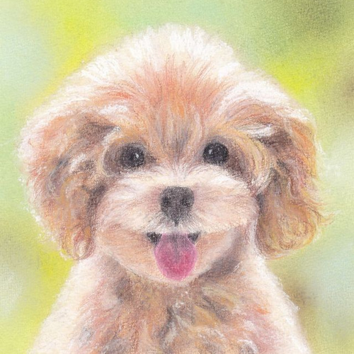 癒しのトイプー（パステル画 原画） 絵画 にゃんずら 通販