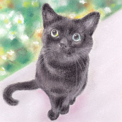 見上げる猫11（パステル画 原画） 絵画 にゃんずら 通販 9824358