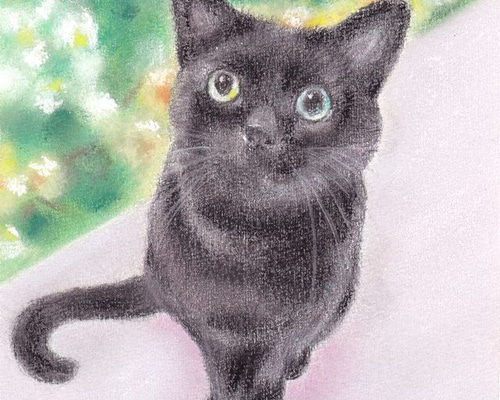 見上げる猫11（パステル画 原画） 絵画 にゃんずら 通販 9824358