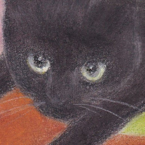 ベタっとな（パステル画 原画 絵画 にゃんずら 通販 9911578