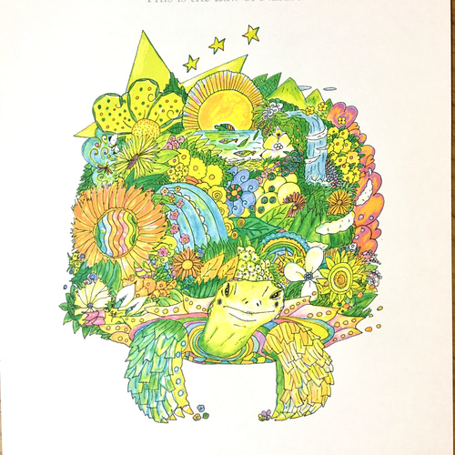 オリジナルハンドメイド 絵 かわいい甲羅のかめさん オリジナルハンドメイド 絵 かわいい甲羅のかめさん