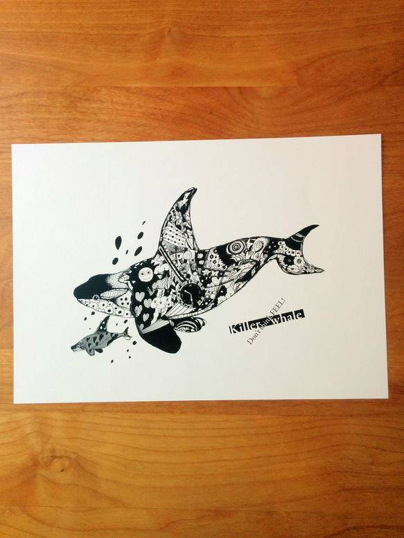 Killer whale ver.2 アートイラスト　モノトーンポスター　B4/A4 5枚目の画像