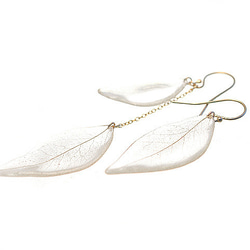 野草の葉っぱ【アシンメトリ】ピアス/イヤリング 3枚目の画像