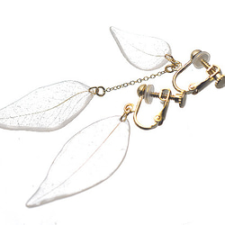野草の葉っぱ【アシンメトリ】ピアス/イヤリング 4枚目の画像
