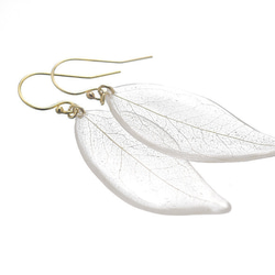 野草の葉っぱ【両耳ペア】ピアス/イヤリング 1枚目の画像