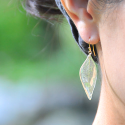 野草の葉っぱ【両耳ペア】ピアス/イヤリング 2枚目の画像