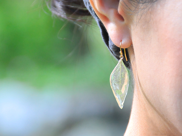 野草の葉っぱ【両耳ペア】ピアス/イヤリング 2枚目の画像