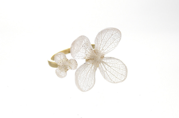 アジサイのオープンリング 1枚目の画像