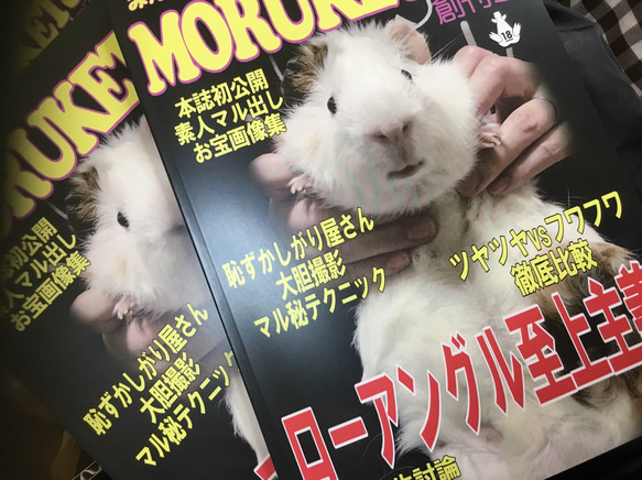 みんな大好きMORUKETSU 1枚目の画像