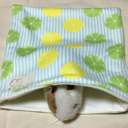 モルモット、ハリネズミの寝袋（フリース生地・レモンライム） 1枚目の画像