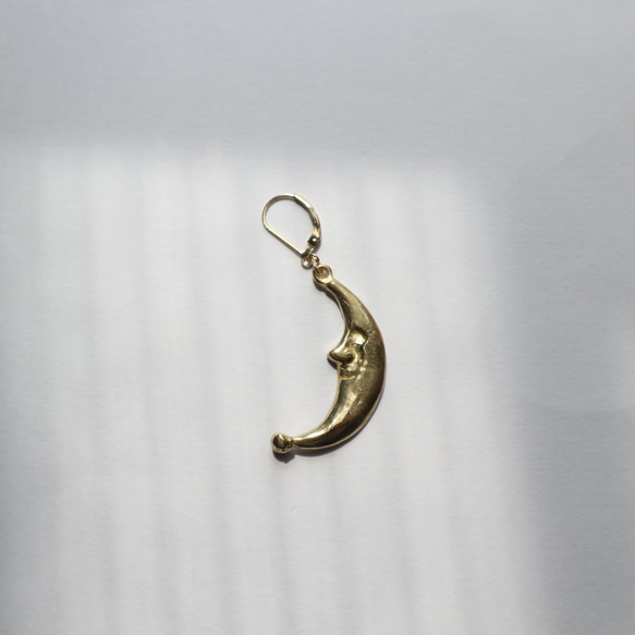 Luna pierce/earring(片耳） 1枚目の画像