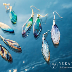 ほんものの蝉の翅】【オーダーメイド】セミのピアス イヤリング