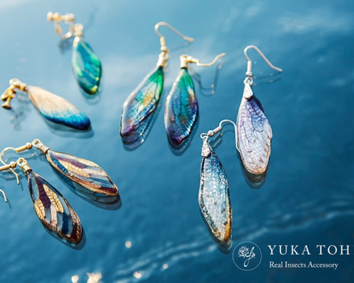 0_2cf6f00d3151bdb241342525437f