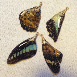 【ほんものの蝶の翅】バタフライのネックレス ペンダント ブラック×グリーン 3枚目の画像
