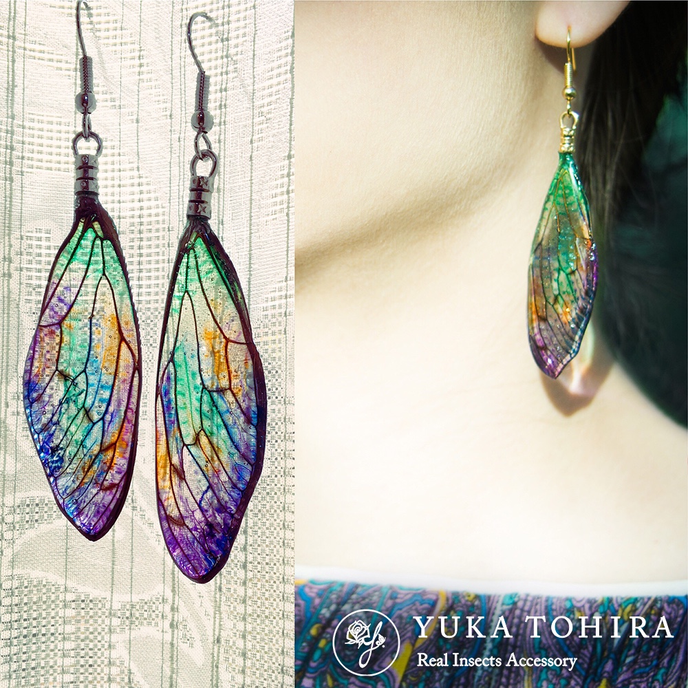 【ほんものの蝉の翅】セミのピアス イヤリング マルチカラーグラデーション