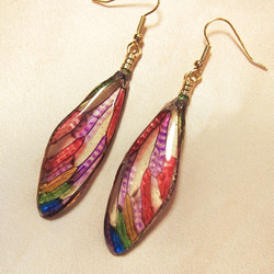 ふし様：オーダーメイドイヤリング ほんものの蝉の翅】【オーダーメイド】セミのピアス イヤリング