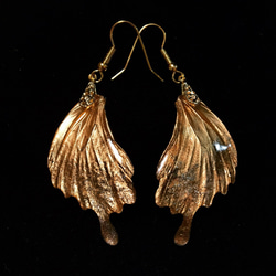 ほんものの蝉の翅】【オーダーメイド】セミのピアス イヤリング