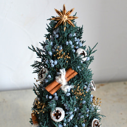 木のぬくもり シンプルナチュラル ツリー プリザーブドフラワー トピアリー  ギフト 　クリスマス 2枚目の画像