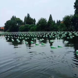 湖からの贈り物淡水パール 4枚目の画像