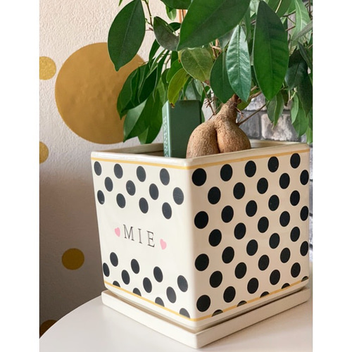 2903 名入れオーダー 鉢植え 鉢 植木鉢 受け皿付き ストライプ ドット