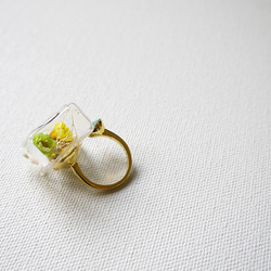 キューブ型ガラスドーム　指輪、フリーサイズ 3枚目の画像