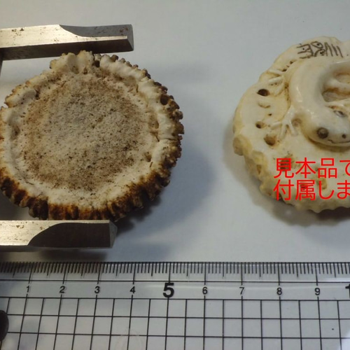 無添加品】鹿の角 枝先10cm前後を200gセット☆ アクセサリー用
