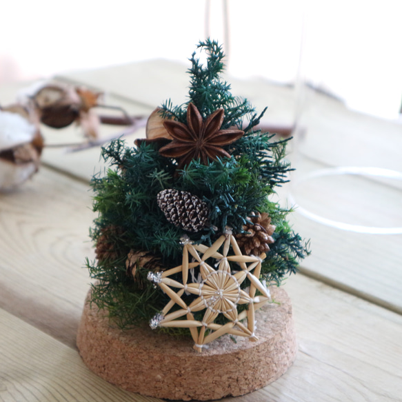 《再販》クリスマスツリーのガラスドーム　（受注制作） 3枚目の画像