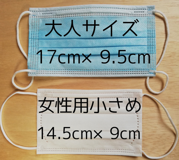 (受注製作)〈送料無料〉2way マスクカバー☆サイズ小さめのマスクをお使いの方に！小花ブルー 8枚目の画像