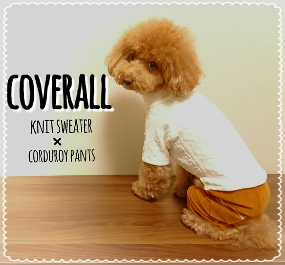 ★再販★【サイズオーダー可】Dog Coverall 2枚目の画像