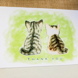 なごみ猫ポストカード　２枚組 1枚目の画像